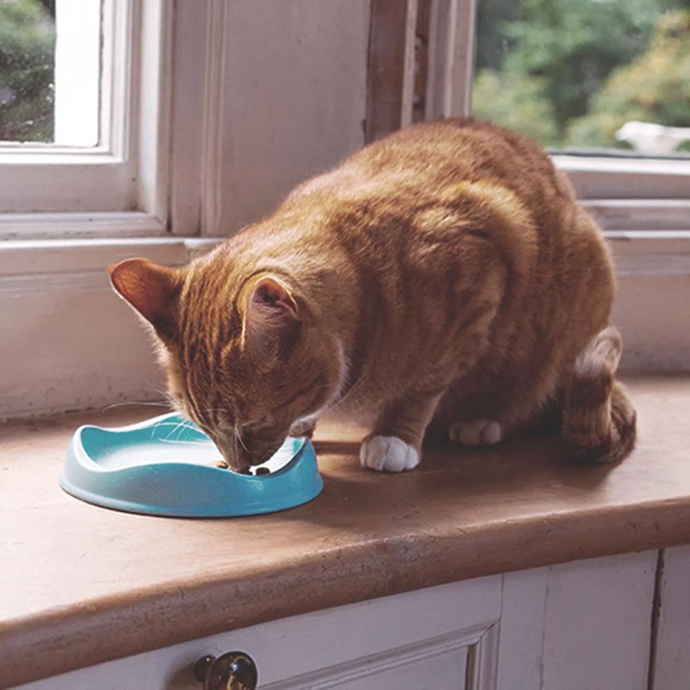 BECO - BOWL PARA GATO