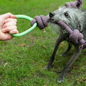 BECO - HOOP ON A ROPE