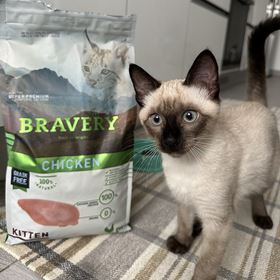 BRAVERY - CHICKEN KITTEN (GRAIN FREE)