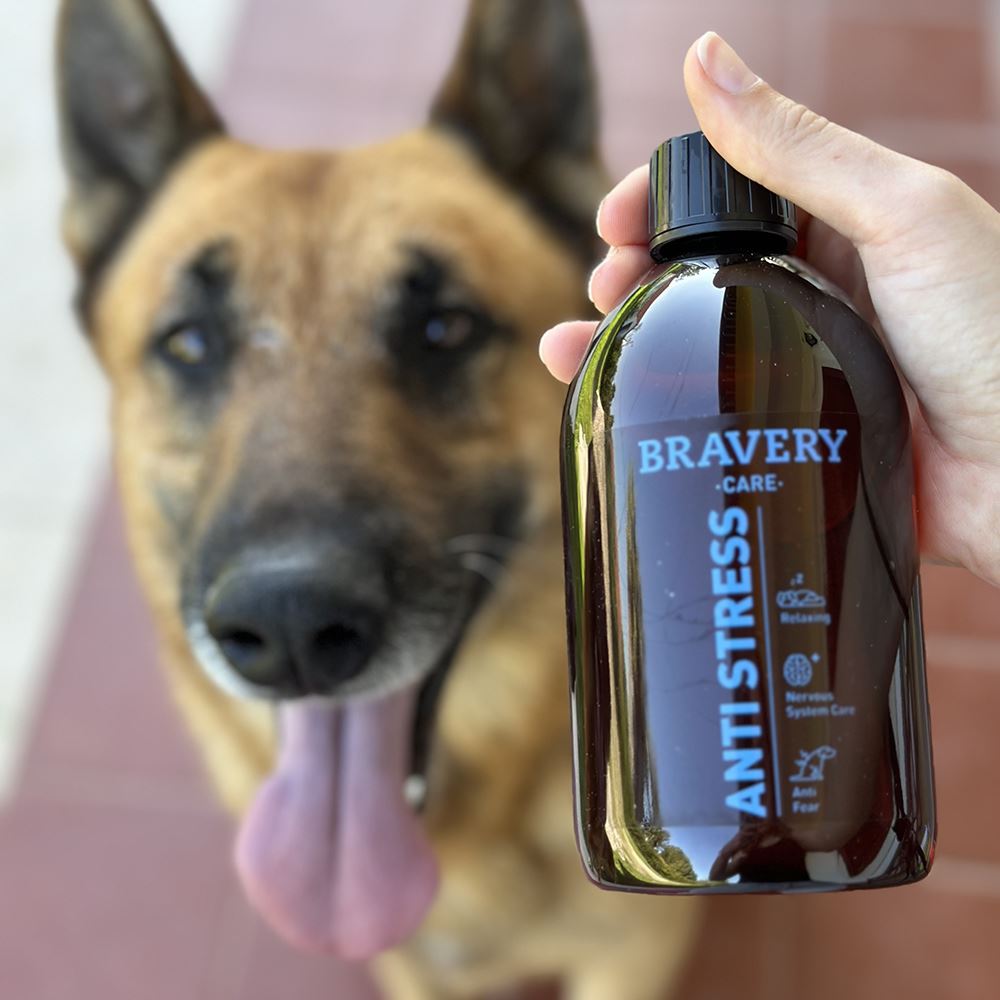 BRAVERY CARE - ÓLEO DE SALMÃO "ANTISTRESS"