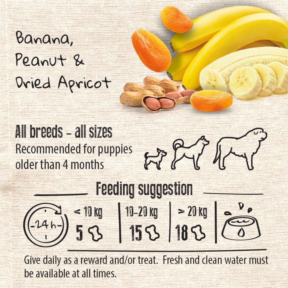 PETIT BISCUIT ON THE GO - ENERGY