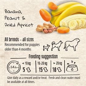 PETIT BISCUIT ON THE GO - ENERGY