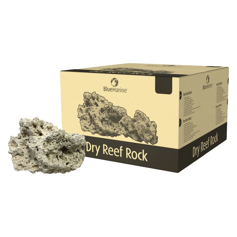 BLUE MARINE - ROCHA RECIFE