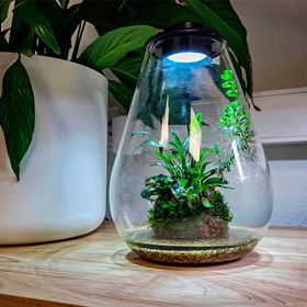 BIOART DROP - NANO TERRÁRIO