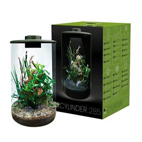 BIOART CYLINDER - NANO TERRÁRIO