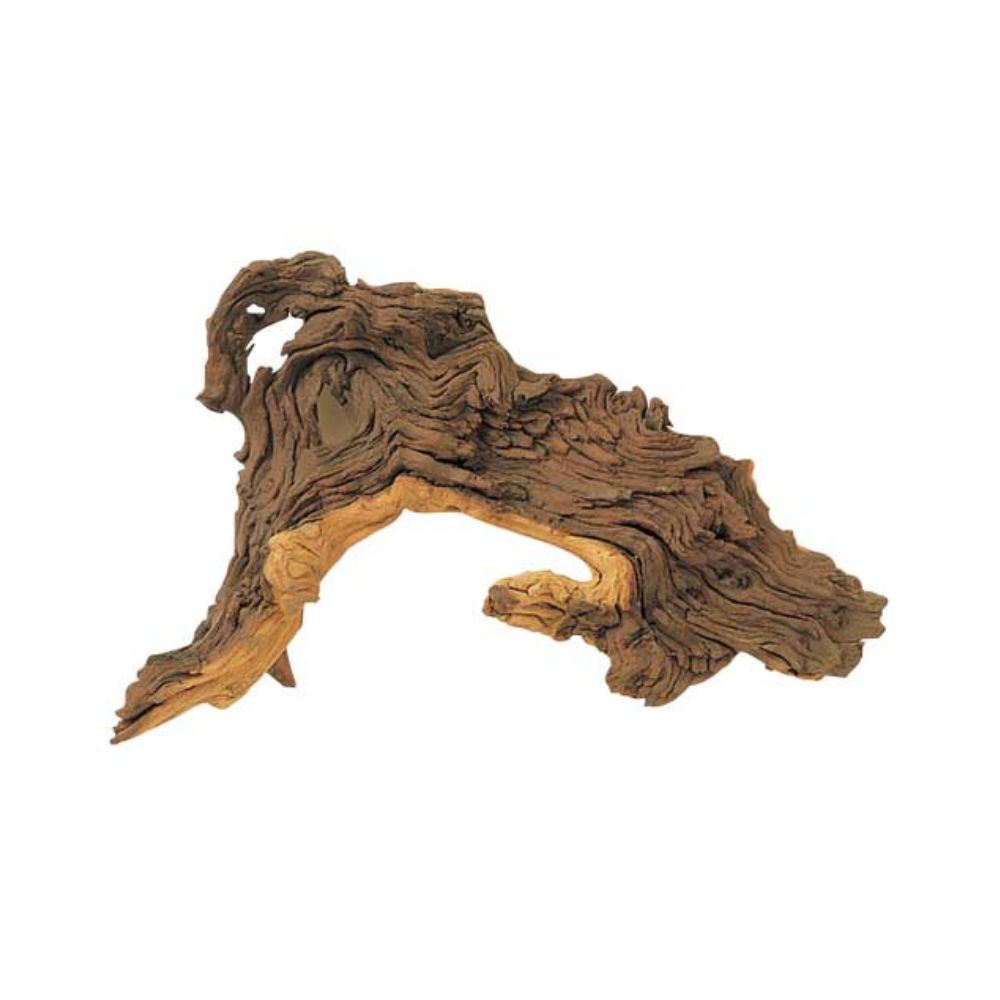 TRONCO MOPANI