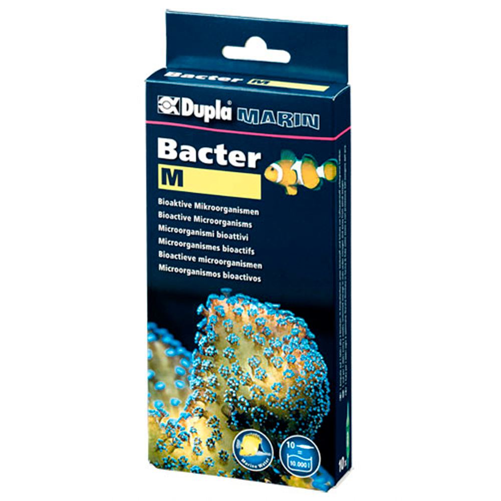 DUPLA - BACTER M (Microorganismos Bioativos) (20 ampolas)