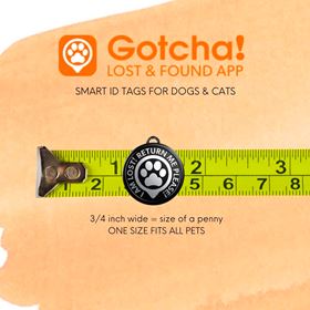 GOTCHA! PET TAG - IDENTIFICADOR/LOCALIZADOR PET