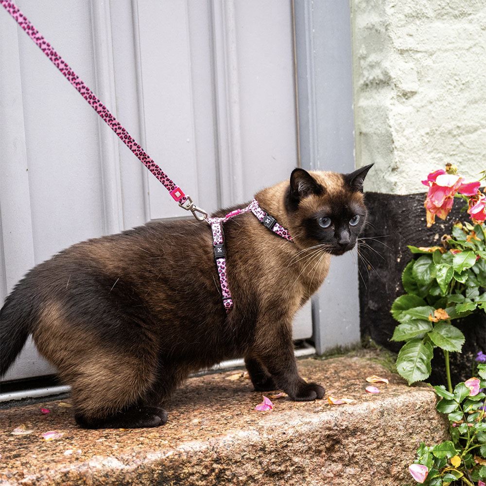 MAX & MOLLY - CONJUNTO PEITORAL + TRELA "LEOPARD PINK" PARA GATO