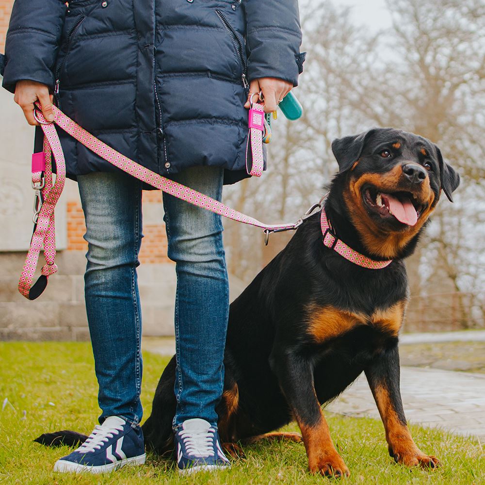 MAX & MOLLY - COLEIRA COM ID TAG "RETRO PINK"