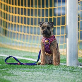 MAX & MOLLY - TRELA MULTI FUNÇOES "FC BARCELONA"