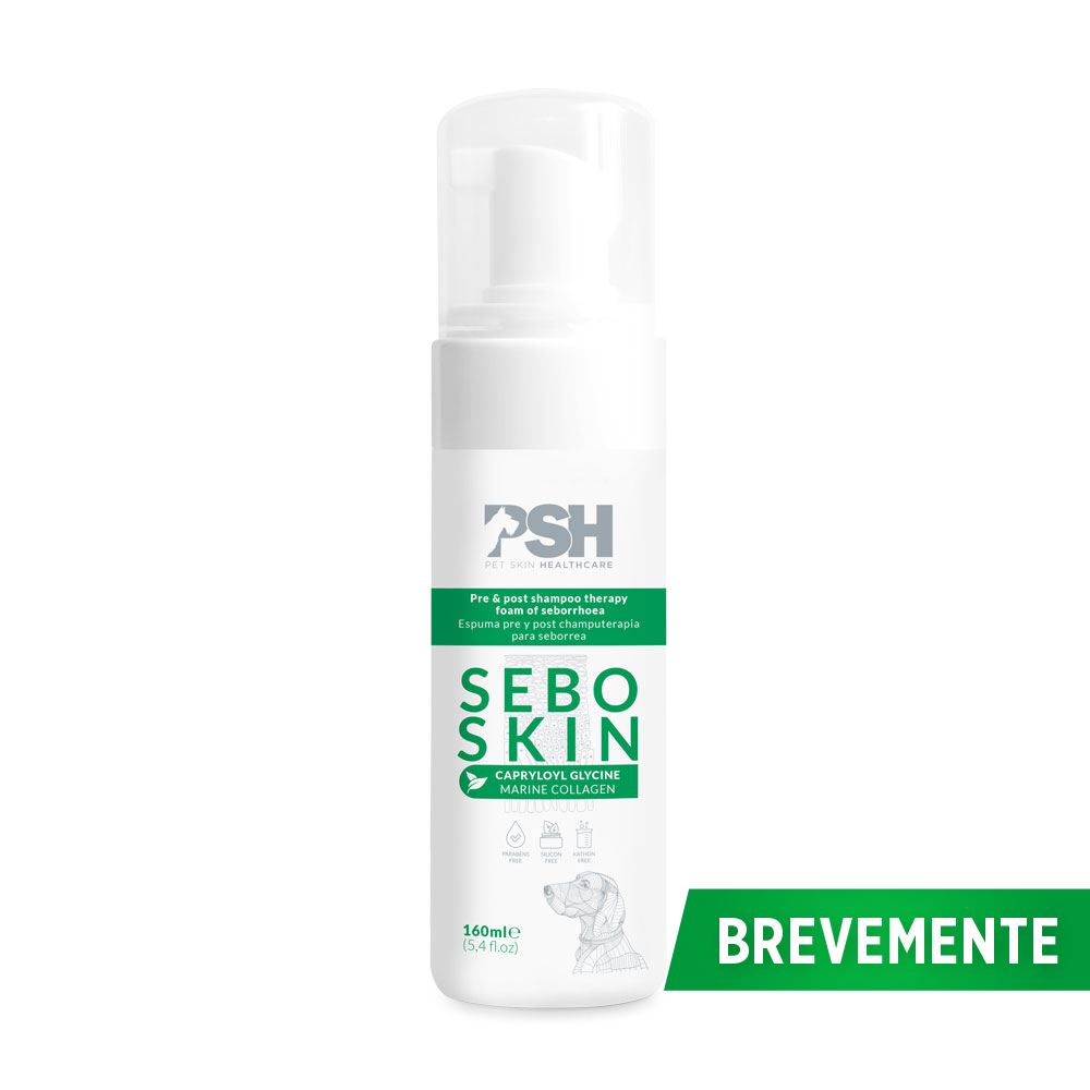 PSH - SEBO SKIN FOAM (ESPUMA PARA SEBORREIA)