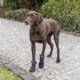 BOTA PROTETORA "WALKER ACTIVE LONG" PARA CÃES