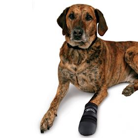 WALKER - BOTAS EM NEOPRENE PARA CÃES