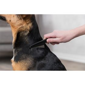 PENTE PARA RETIRAR PULGAS E PÓ PARA GATOS E CÃES PEQUENOS