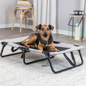 CAMA ELEVADA PARA CÃO