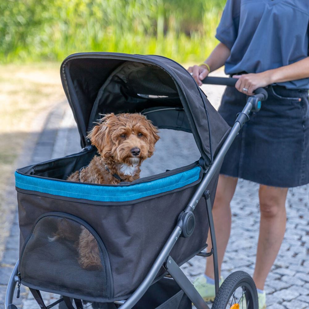 BUGGY "FRIENDS ON TOUR"