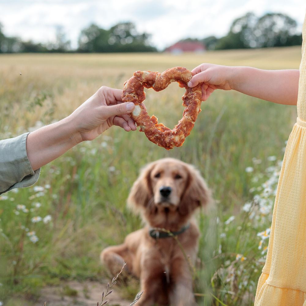 DENTAFUN "VALENTINE" COM FRANGO
