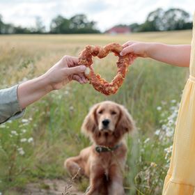 DENTAFUN "VALENTINE" COM FRANGO