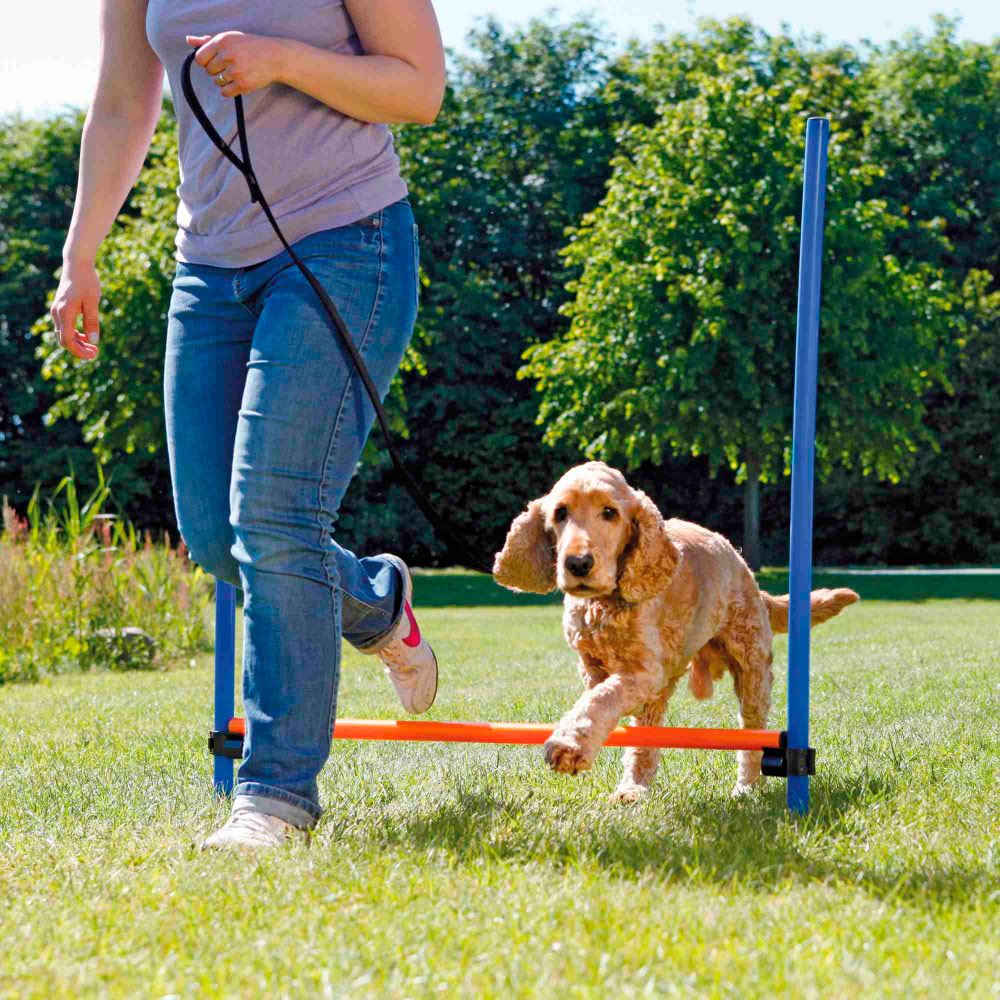 BARREIRA PARA AGILITY