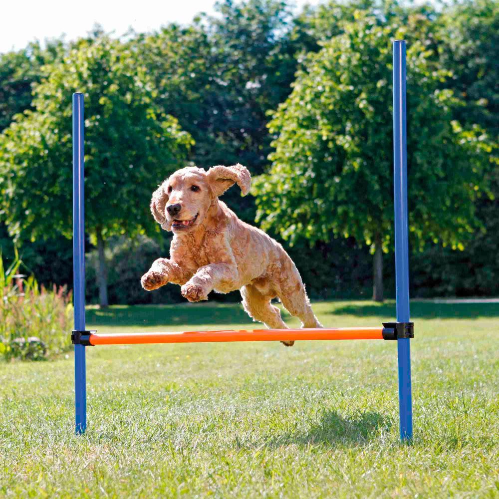 BARREIRA PARA AGILITY