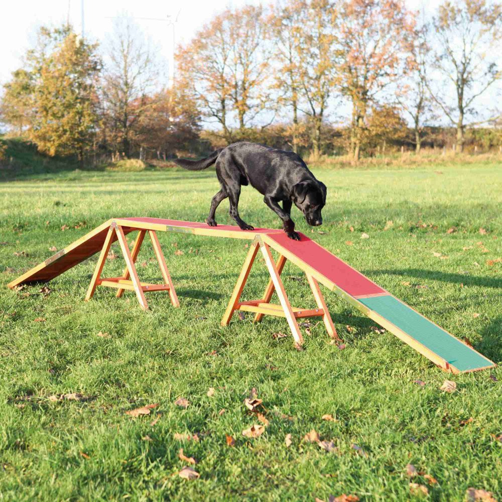 DOGWALK PARA AGILITY