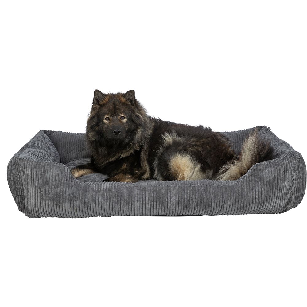 CAMA "JONNA VITAL"