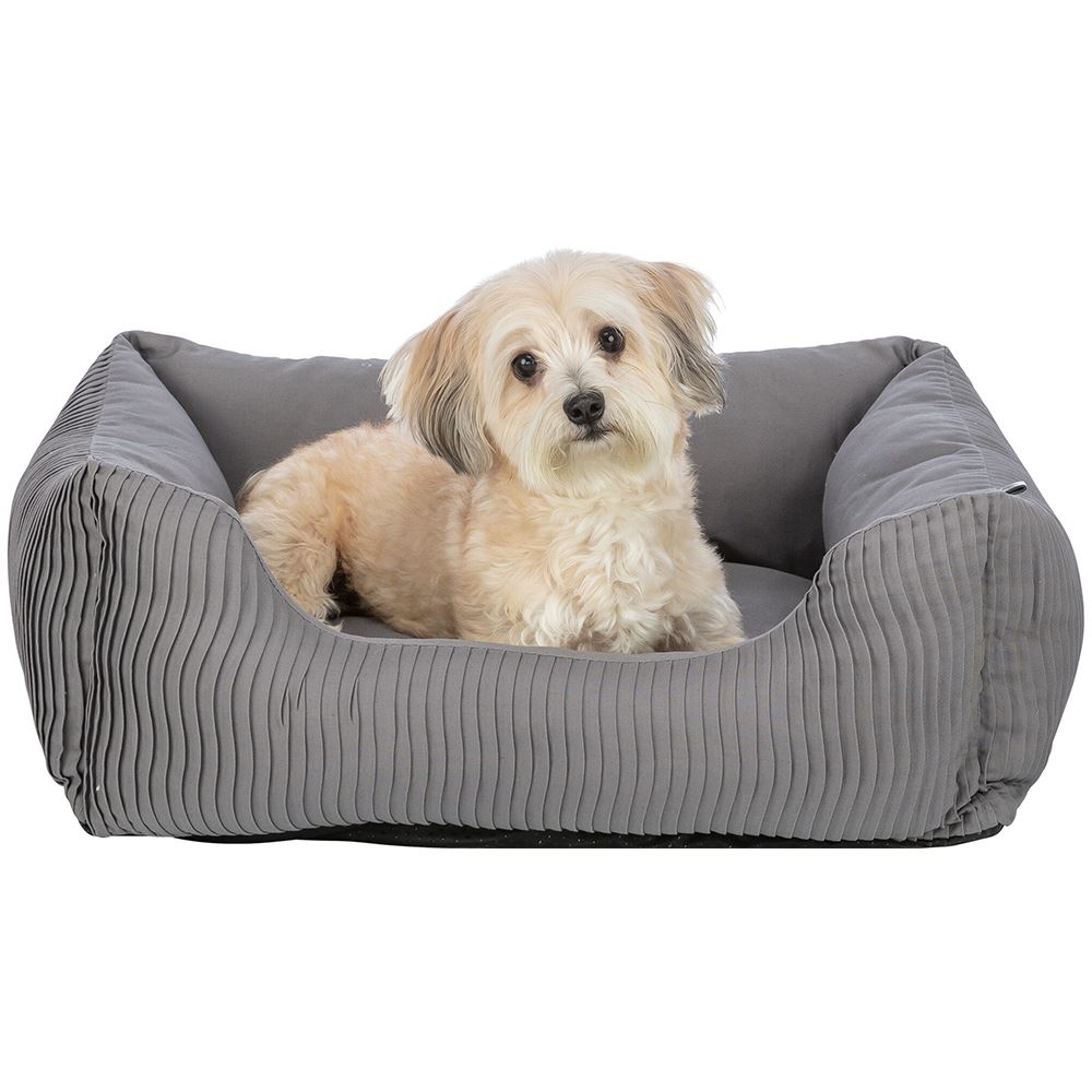 CAMA "MARLEY"