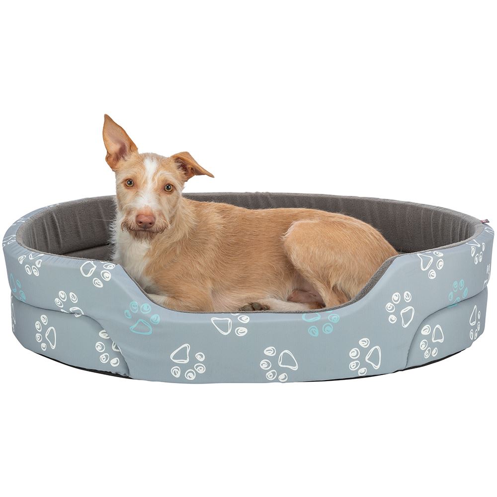 CAMA OVAL "JIMMY"