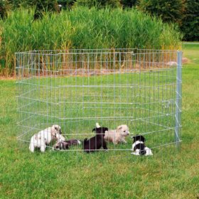 RECINTO GALVANIZADO COM PORTA PARA CACHORROS