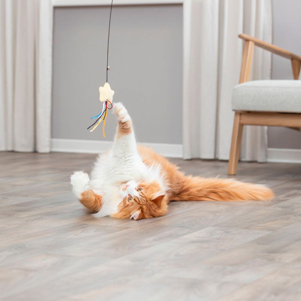 BASTÃO COM ESTRELA EM PELÚCIA PARA GATOS