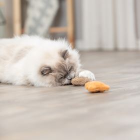 URSO EM PELÚCIA COM CATNIP