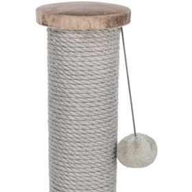 ARRANHADOR "LIVIA"