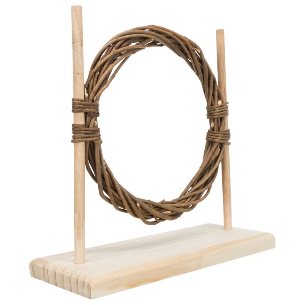 CONJUNTO PARA AGILITY (OBSTÁCULO E ARCO) PARA ROEDORES