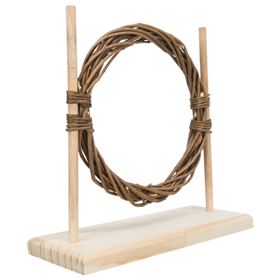 CONJUNTO PARA AGILITY (OBSTÁCULO E ARCO) PARA ROEDORES