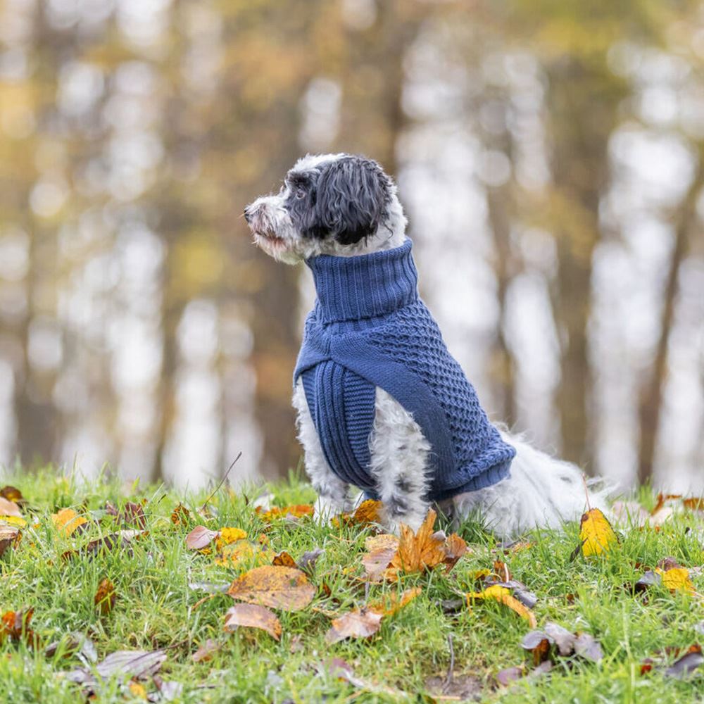 CAMISOLA "NORWOOD" PARA CÃES