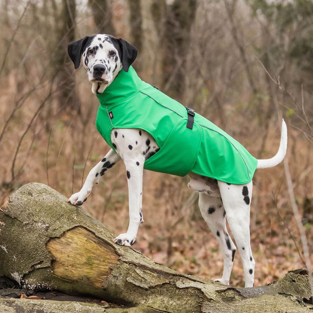 CAPA "VIMY" PARA CÃES