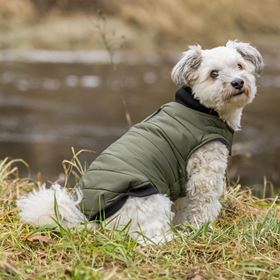 CAPA "ARLAY" PARA CÃES