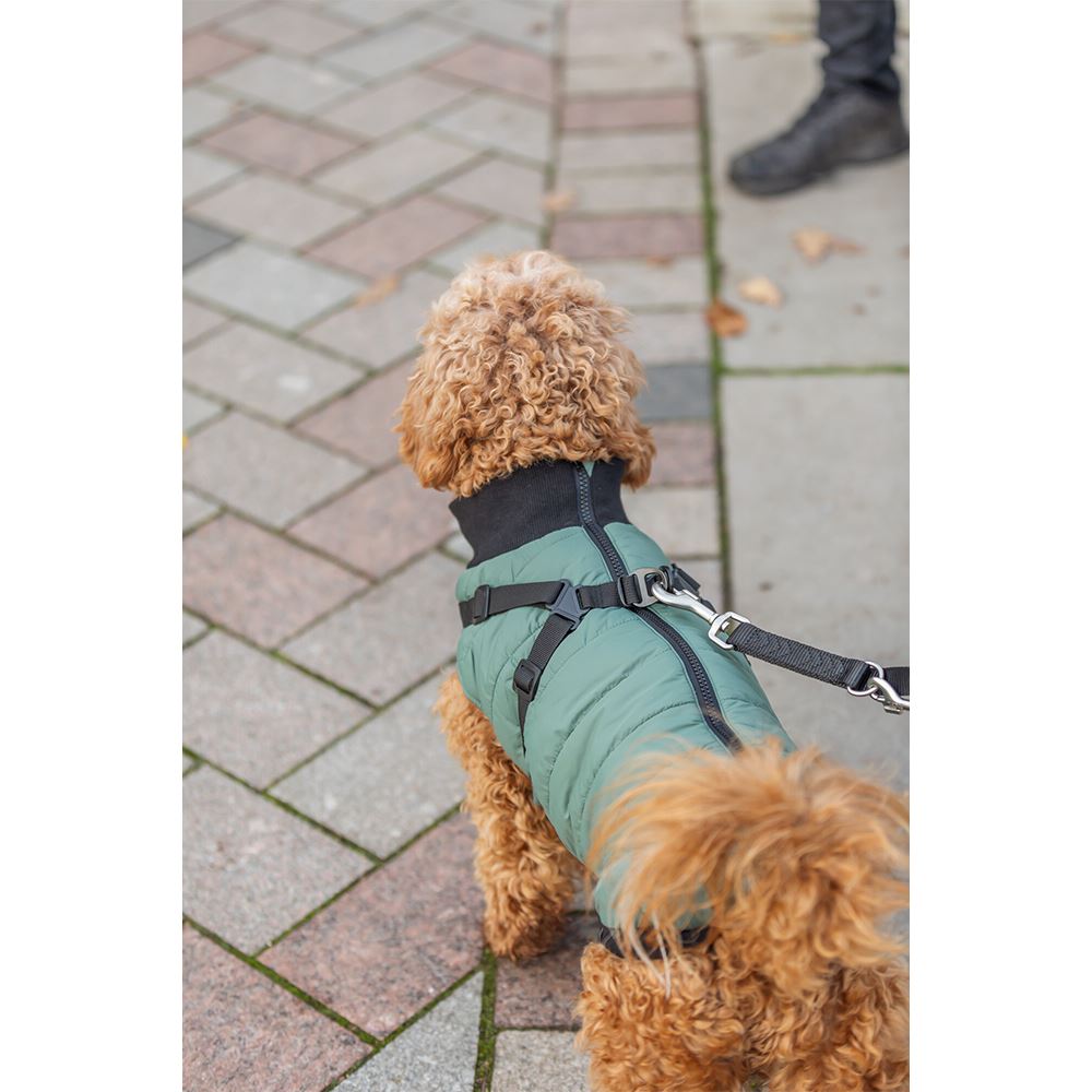 CAPA "PONTIS" COM PEITORAL PARA CÃES