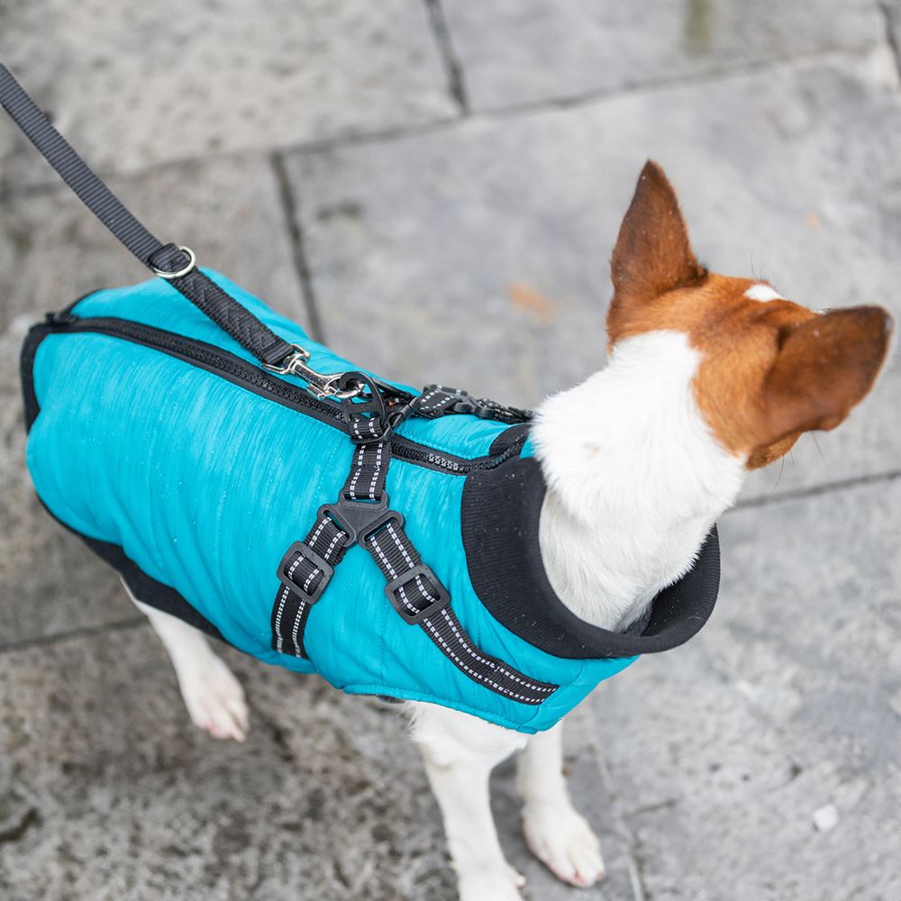 CAPA "PONTIS" COM PEITORAL PARA CÃES