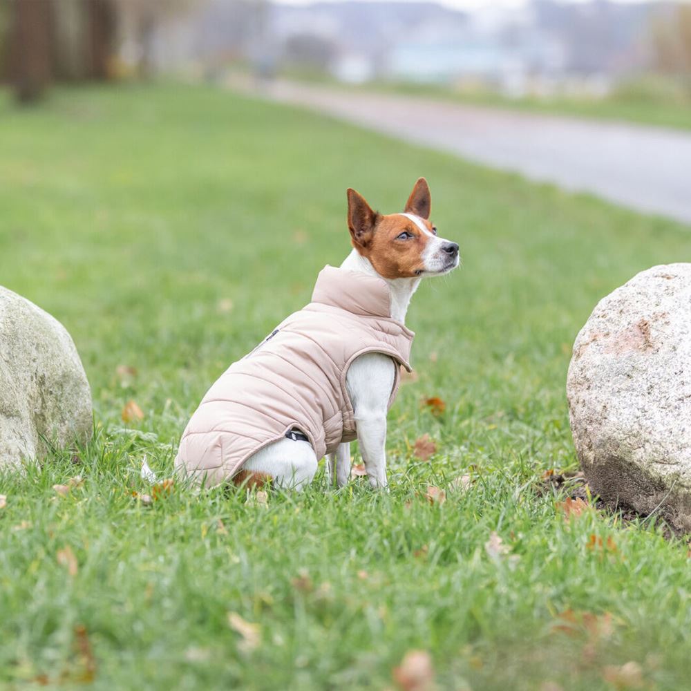 CAPA "LESMONT" PARA CÃES