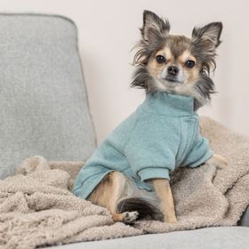 SWEATSHIRT "LITTLETON" PARA CÃES