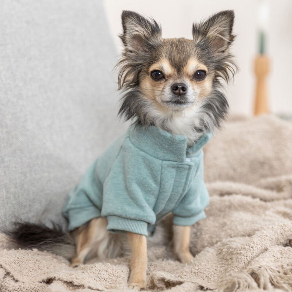 SWEATSHIRT "LITTLETON" PARA CÃES