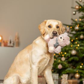 URSO EM PELÚCIA
