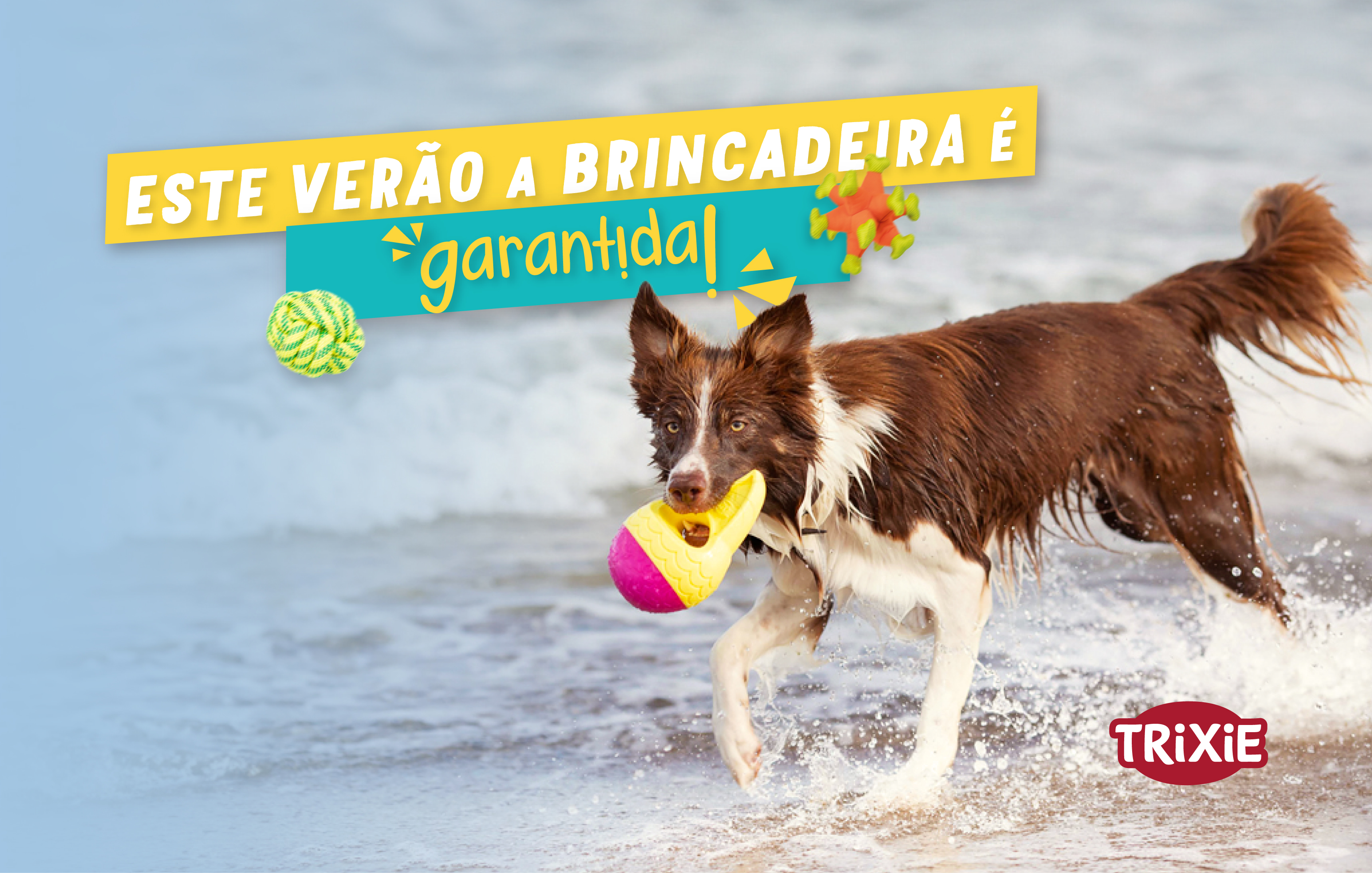 https://bo.animall.pt/FileUploads/banners/homepage/banner_verao_trixie_2025_omnipetz.jpg
